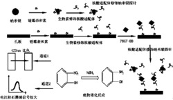 基于纳米银催化的比色和电化学双通道核酸适配体传感器