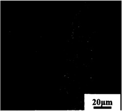 钎焊多孔Si3N4陶瓷与Invar合金的方法