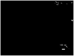 一种二维多孔金属钴配合物及其制备方法和应用
