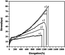 双网络复合水凝胶及其制备方法以及油水分离器