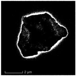 一种氮掺杂的碳纳米片-Co3O4复合材料的制备方法及应用