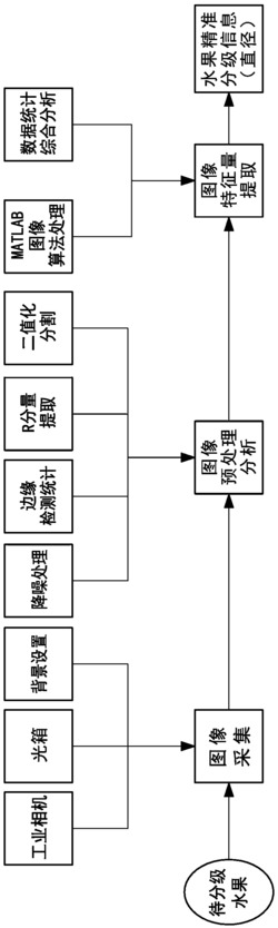 基于正交双目机器视觉的水果大小无损检测方法