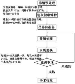 一种高产育珠蚌种的淡水养殖方法