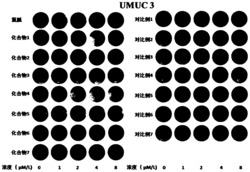 一种双胍衍生物、药物组合物、制备方法和其在制备抗肿瘤药物中的应用