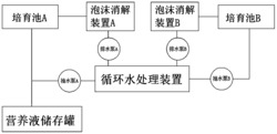 一种可循环型淡水珍珠养殖方法
