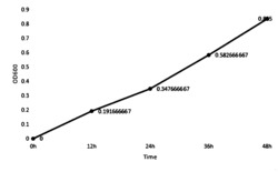 一种杂色曲霉HY12菌株的培养方法