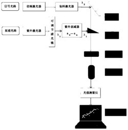 一种液芯光纤的光信号放大性能检测方法及其检测装置