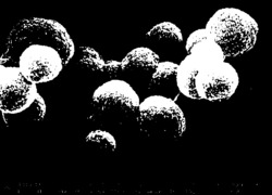 一种Co-Mo-O-S球形花簇结构复合材料及其制备方法和应用