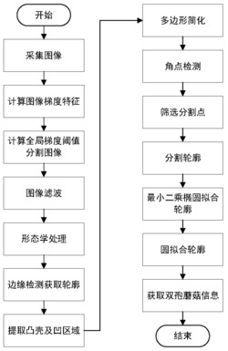 重叠双孢蘑菇的分割识别方法