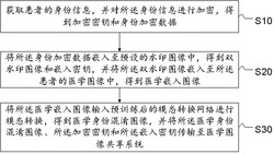 医学图像身份混淆共享方法、系统、终端设备及存储介质